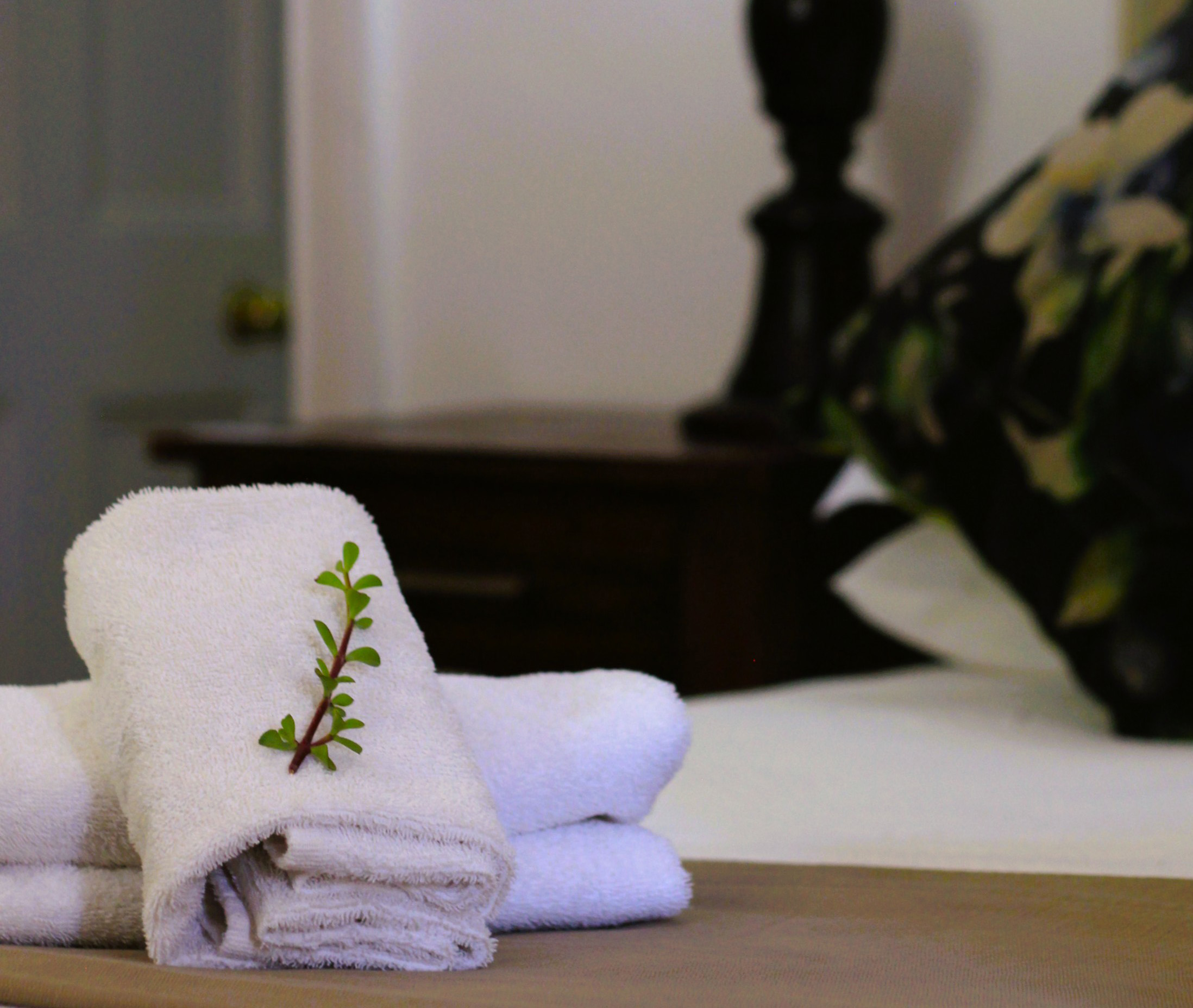 Dedoornkraal Riversdale Accommodation